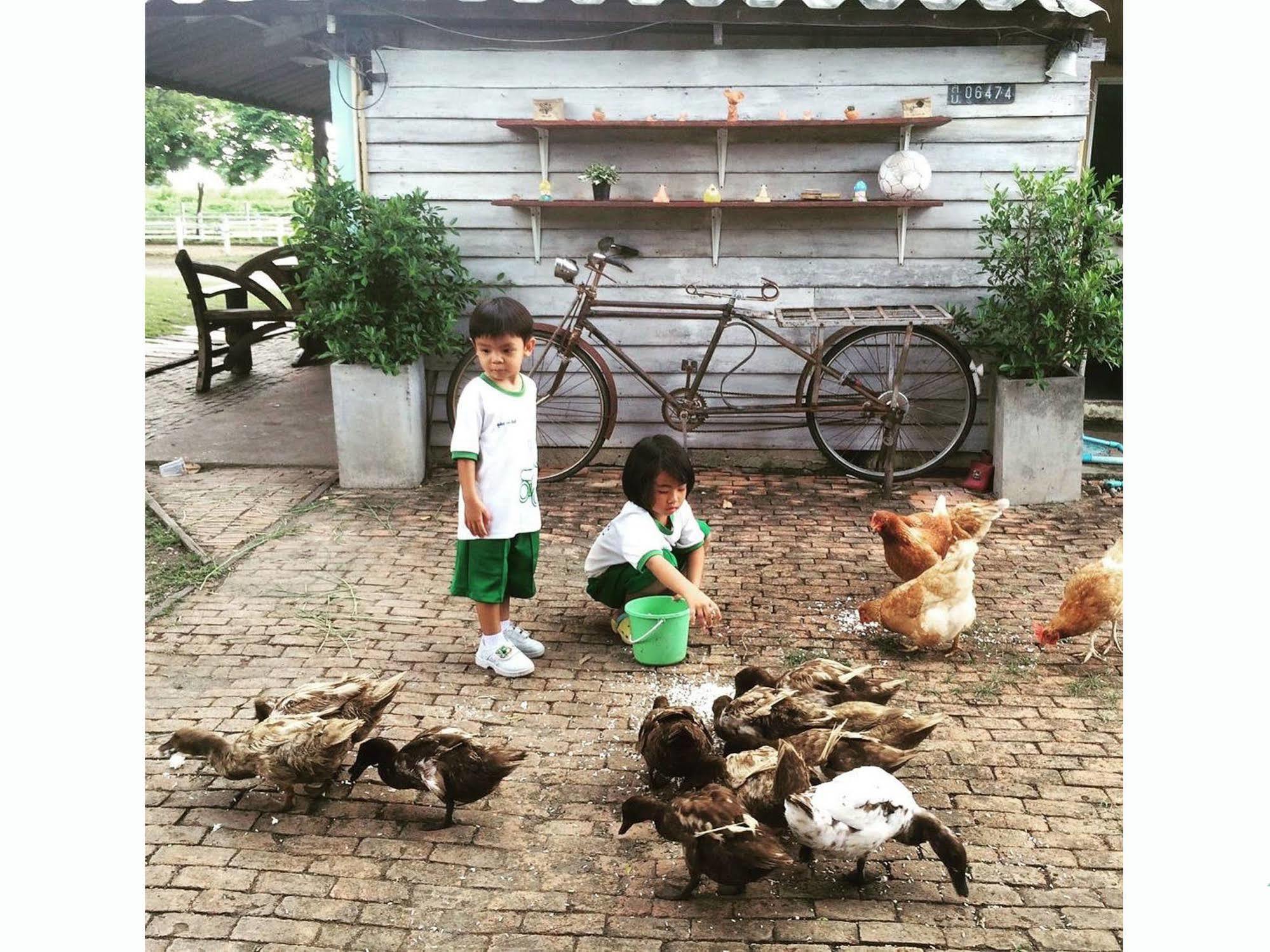 Wanlapa Farmstay Ban Khok Krathiam Εξωτερικό φωτογραφία