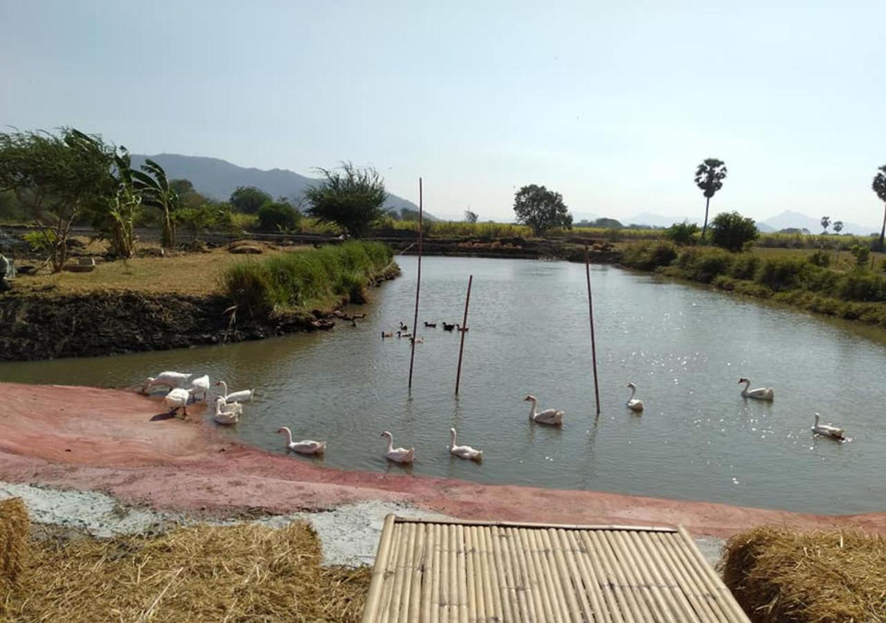 Wanlapa Farmstay Ban Khok Krathiam Εξωτερικό φωτογραφία