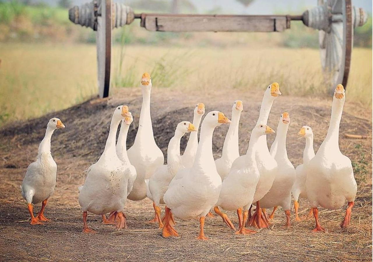 Wanlapa Farmstay Ban Khok Krathiam Εξωτερικό φωτογραφία
